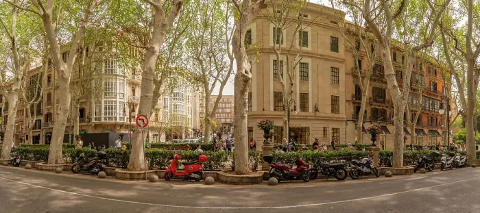 Framed Print : View of cafes on Paseo del Borne, Palma de Mallorca, Majorca, Balearic Islands, Spain, Mediterranean, Europe Framed Print : View of cafes on Paseo del Borne, Palma de Mallorca, Majorca, Balearic Islands, Spain, Mediterranean, Europe