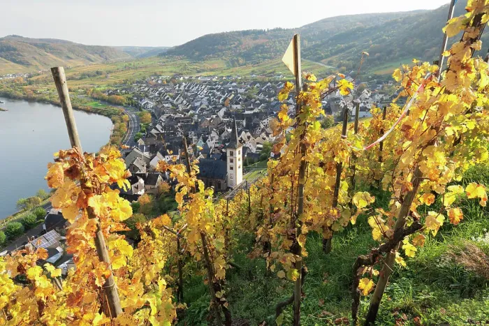 Framed Print : View from Calmont Hill to Bremm, Moselle Valley, Rhineland-Palatinate, Germany, Europe