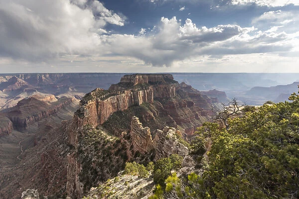 View from Cape Royal Point of the north rim of Grand Canyon National Park