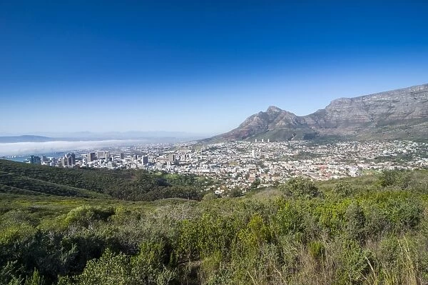 View over Cape Town, South Africa, Africa