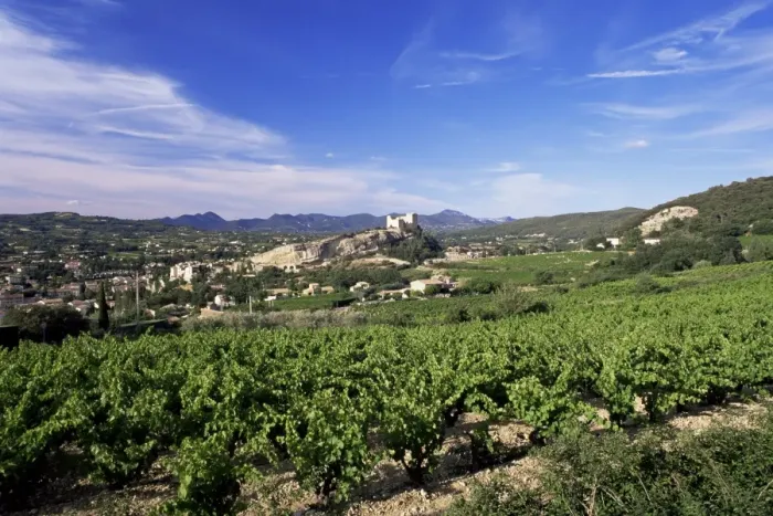 Framed Print : View to the castle from vineyard, Vaison-la-Romaine, Vaucluse, Provence, France, Europe Framed Print : View to the castle from vineyard, Vaison-la-Romaine, Vaucluse, Provence, France, Europe
