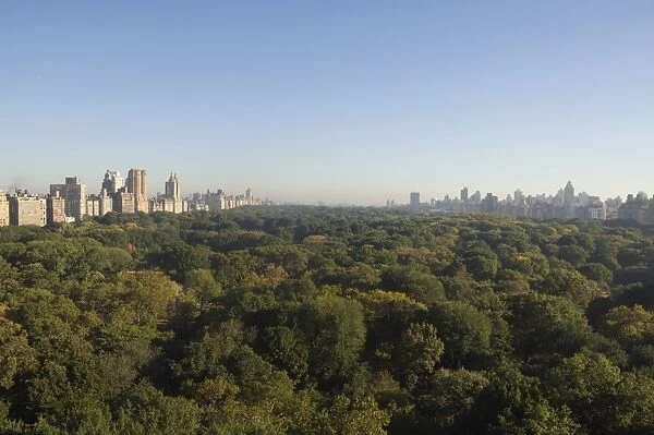 View of Central Park from south looking north