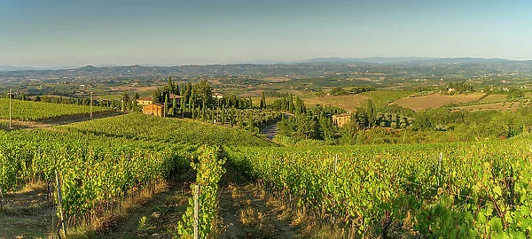 View of chaleau and vineyards near San Gimignano, San Gimignano, Province of Siena, Tuscany, Italy, Europe