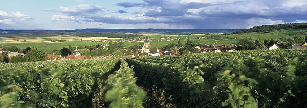 View over Champagne vineyards to the village of Villedommange (Ville Dommange