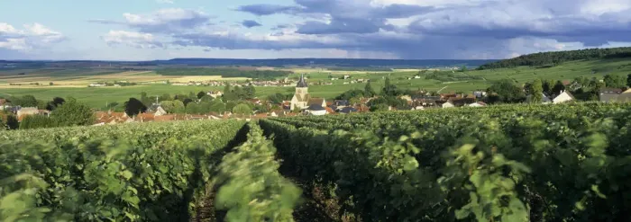 Framed Print : View over Champagne vineyards to the village of Villedommange (Ville Dommange Framed Print : View over Champagne vineyards to the village of Villedommange (Ville Dommange