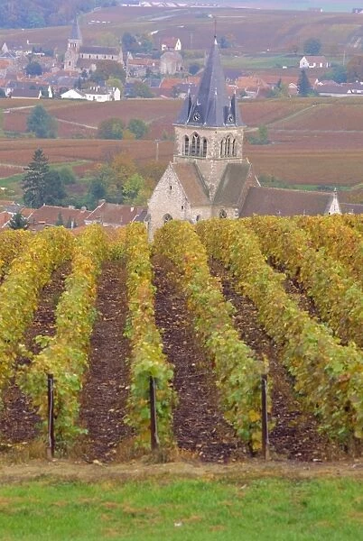 View Of The Chapel Of St. Lie Over Vineyards Of Champagne, Autumn, France