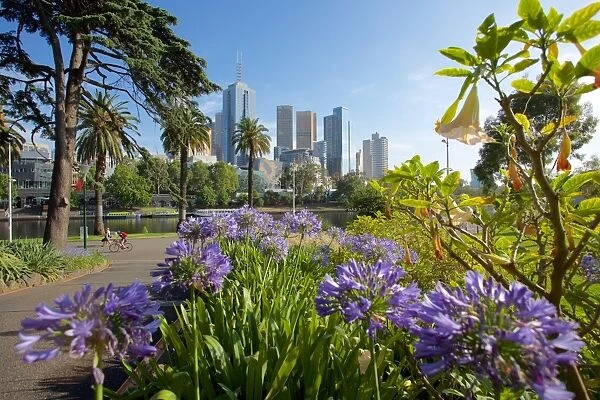 View of City from Alexandra Gardens, Melbourne, Victoria, Australia, Pacific