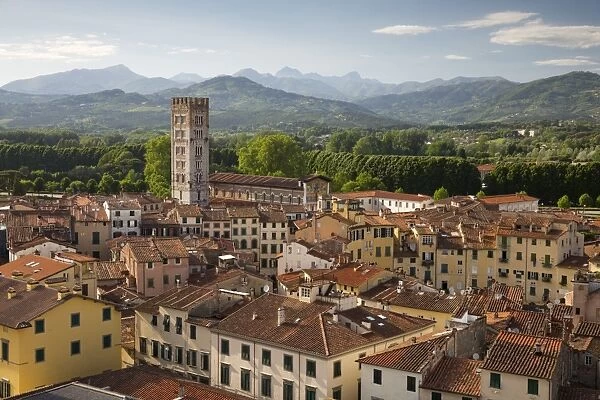 View over city to San Frediano from atop Torre Guinigi, Lucca, Tuscany, Italy, Europe