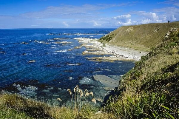 View from the cliff top over the Kaikoura Peninsula, South Island, New Zealand, Pacific