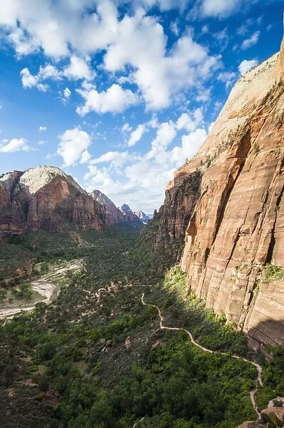 View over the cliffs of the Zion National Park and the Angels Landing path, Zion National Park, Utah, United States of America, North America