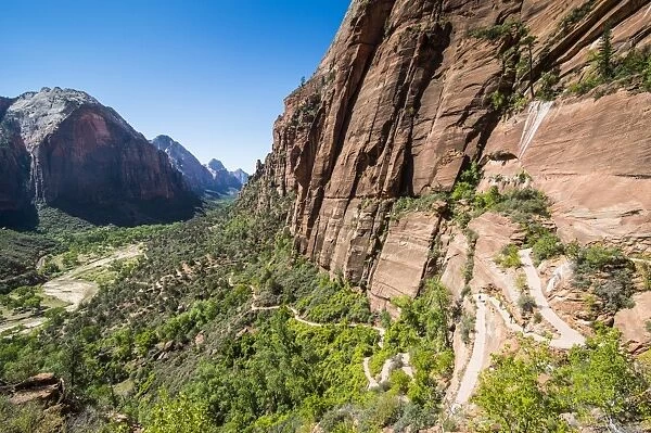 View over the cliffs of the Zion National Park and the Angels Landing trail, Zion National Park, Utah, United States of America, North America