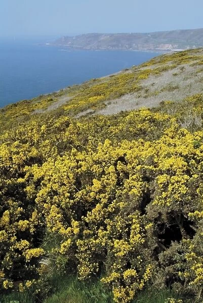 View from clifftop footpath, Cap Hague, near Cherbourg, Cotentin Peninsula
