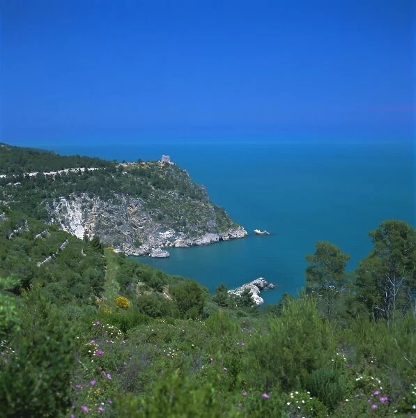 View of coast from Testa del Gargano