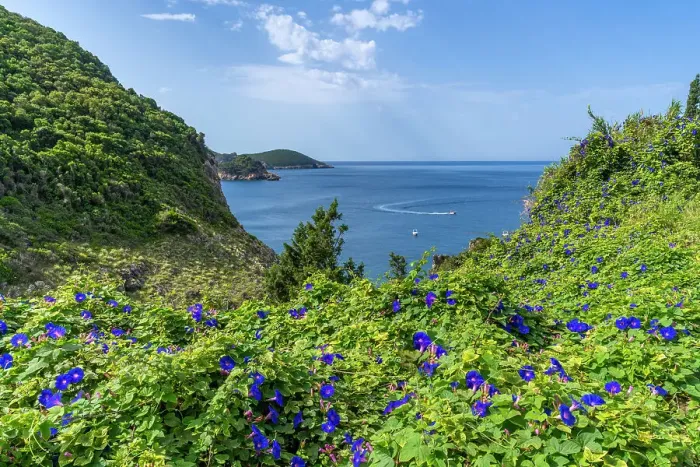 Framed Print : View of coastline and Ionian Sea near Palaiokastritsa, Palaiokastritsa, Corfu, Ionian Sea, Greek Islands, Greece, Europe Framed Print : View of coastline and Ionian Sea near Palaiokastritsa, Palaiokastritsa, Corfu, Ionian Sea, Greek Islands, Greece, Europe