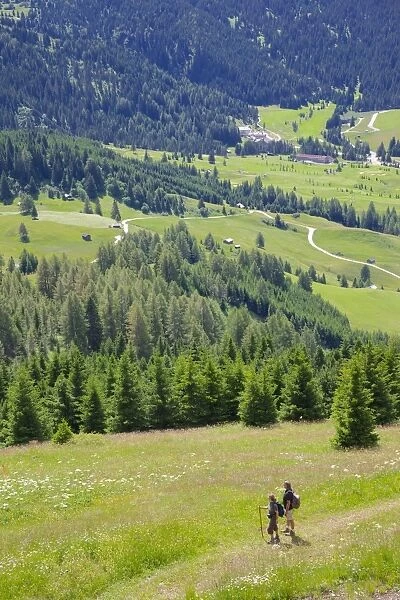 View from Col Alto, Corvara, Badia Valley, Bolzano Province, Trentino-Alto Adige  /  South Tyrol, Italian Dolomites, Italy, Europe