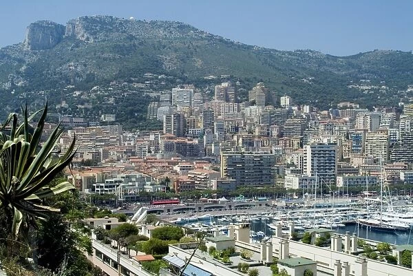 View from Condamine port over Monaco, Europe