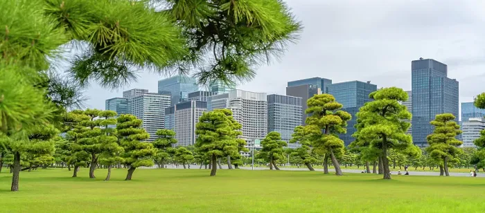 Framed Print : View of contrasting city skyline and Japanese Red Pine trees near the Imperial Palace of Tokyo, Tokyo, Honshu, Japan Framed Print : View of contrasting city skyline and Japanese Red Pine trees near the Imperial Palace of Tokyo, Tokyo, Honshu, Japan