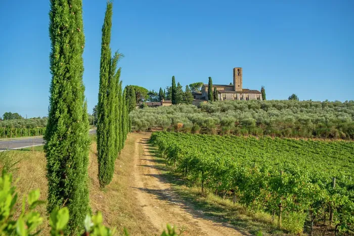 Framed Print : View of Convento di Monte Oliveto Minore and vinyard, San Gimignano, Province of Siena, Tuscany, Italy, Europe Framed Print : View of Convento di Monte Oliveto Minore and vinyard, San Gimignano, Province of Siena, Tuscany, Italy, Europe