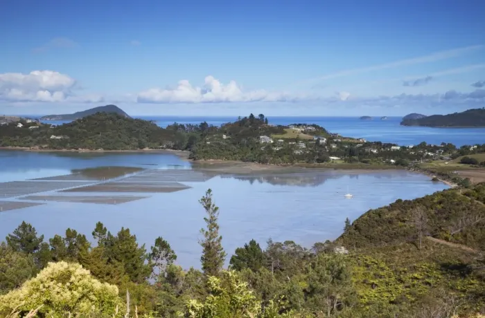 Framed Print : View of Coromandel Town harbour, Coromandel Peninsula, Waikato, North Island, New Zealand, Pacific Framed Print : View of Coromandel Town harbour, Coromandel Peninsula, Waikato, North Island, New Zealand, Pacific