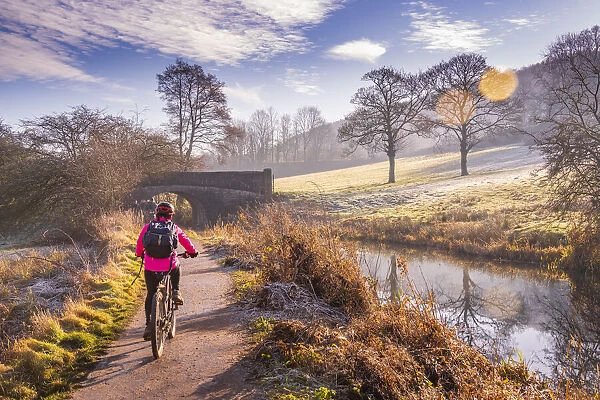 View of cyclist and frosty morning at the Cromford Canal, Derbyshire, England, United Kingdom, Europe