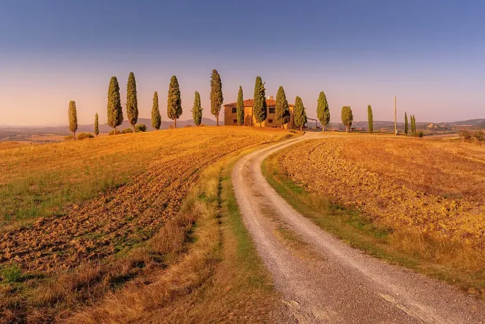 Framed Print : View of cypress trees in landscape near Pienza, Val d'Orcia, UNESCO World Heritage Site, Province of Siena, Tuscany, Italy, Europe Framed Print : View of cypress trees in landscape near Pienza, Val d'Orcia, UNESCO World Heritage Site, Province of Siena, Tuscany, Italy, Europe