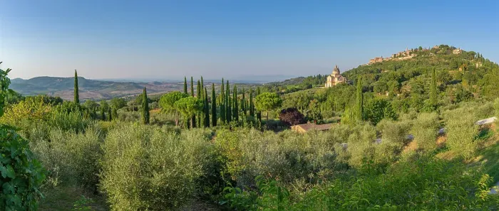 Framed Print : View of cypress trees and medieval hilltop town of Montepulciano, Montepulciano, Province of Siena, Tuscany, Italy, Europe Framed Print : View of cypress trees and medieval hilltop town of Montepulciano, Montepulciano, Province of Siena, Tuscany, Italy, Europe