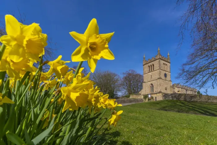 Framed Print : View of daffodils and St. Leonards Church, Scarcliffe near Chesterfield, Derbyshire Framed Print : View of daffodils and St. Leonards Church, Scarcliffe near Chesterfield, Derbyshire