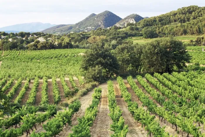 Framed Print : View to distant village across vineyards, Seguret, Vaucluse, Provence, France, Europe Framed Print : View to distant village across vineyards, Seguret, Vaucluse, Provence, France, Europe
