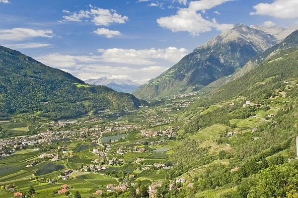 View from Dorf Tyrol over Merano