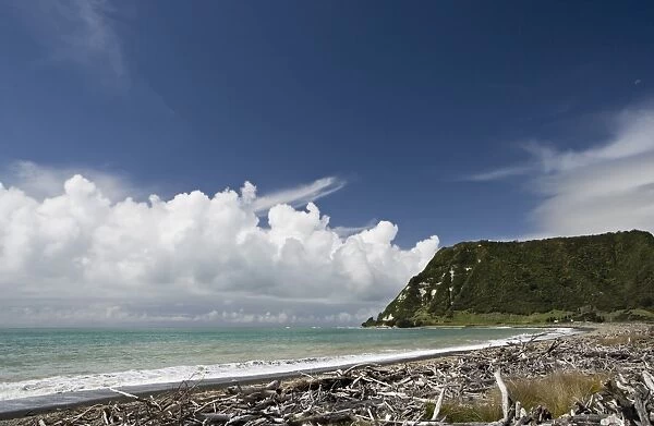 View over driftwood and beach from the isolated town of Te Araroa