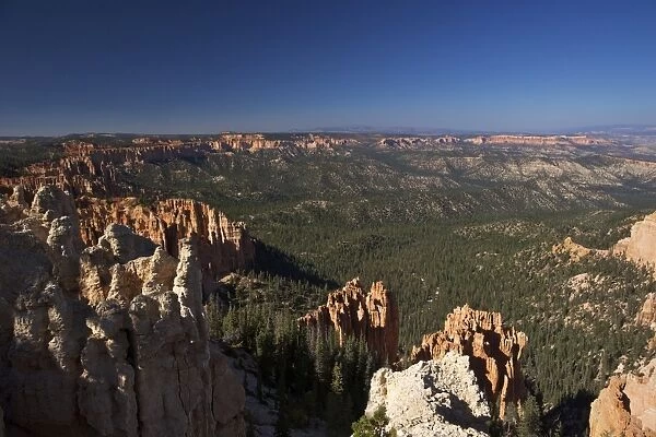 View early morning from Ponderosa Point, Bryce Canyon National Park, Utah, United States of America, North America
