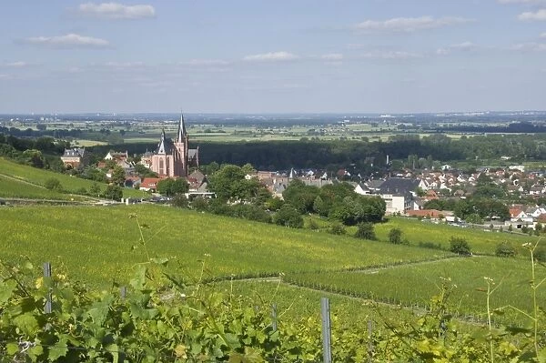 View east over the Rhine Valley and St. Katherines Church in the wine town of Oppenheim, Rhineland Palatinate, Germany, Europe