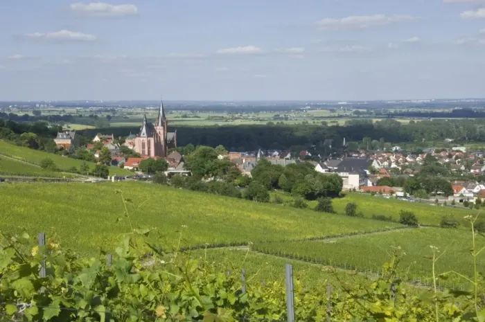 Framed Print : View east over the Rhine Valley and St. Katherines Church in the wine town of Oppenheim, Rhineland Palatinate, Germany, Europe Framed Print : View east over the Rhine Valley and St. Katherines Church in the wine town of Oppenheim, Rhineland Palatinate, Germany, Europe