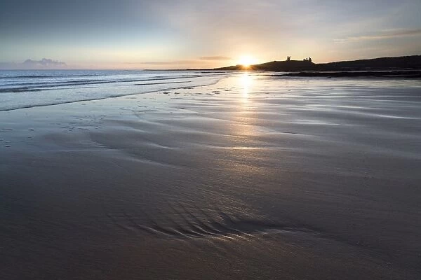 View over Embleton Beach at sunrise towards the silhouetted ruin of Dunstanburgh Castle in the distance, Embleton Bay, near Alnwick, Northumberland, England, United Kingdom, Europe