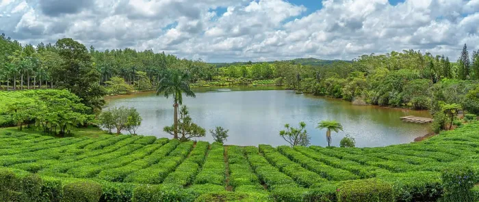 Framed Print : View of exterior of Bois Cheri Tea Estate, Savanne District, Mauritius, Indian Ocean, Africa