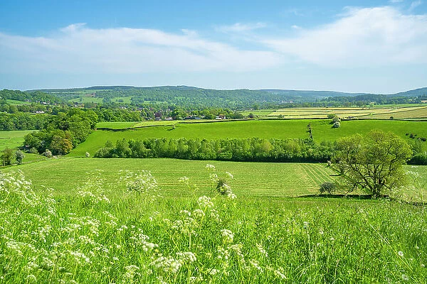 View of farmland and Baslow village during spring, Peak District National Park, Derbyshire, England, United Kingdom, Europe