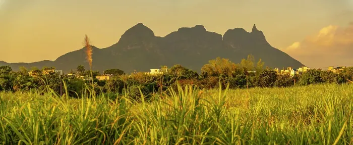 Framed Print : View of farmland and mountains near Quatre Bornes, Mauritius, Indian Ocean, Africa Framed Print : View of farmland and mountains near Quatre Bornes, Mauritius, Indian Ocean, Africa