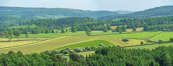 View of farmland near Chatsworth House in spring, Derbyshire Dales, Derbyshire, England, United Kingdom, Europe