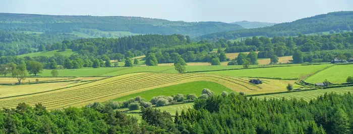 Framed Print : View of farmland near Chatsworth House in spring, Derbyshire Dales, Derbyshire, England, United Kingdom, Europe Framed Print : View of farmland near Chatsworth House in spring, Derbyshire Dales, Derbyshire, England, United Kingdom, Europe