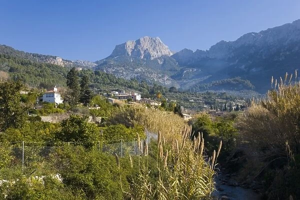 View up fertile valley to Puig Major, the islands highest peak, Soller