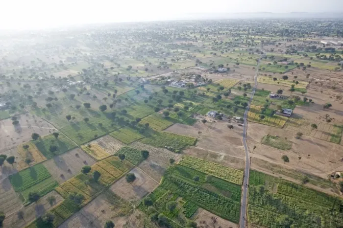 Framed Print : View of fields and trees from hot air balloon, early morning, Chomu district Framed Print : View of fields and trees from hot air balloon, early morning, Chomu district