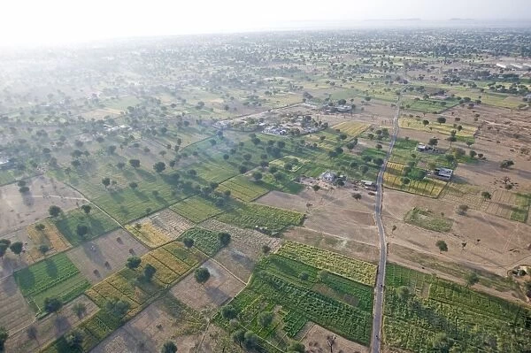View of fields and trees from hot air balloon, early morning, Chomu district
