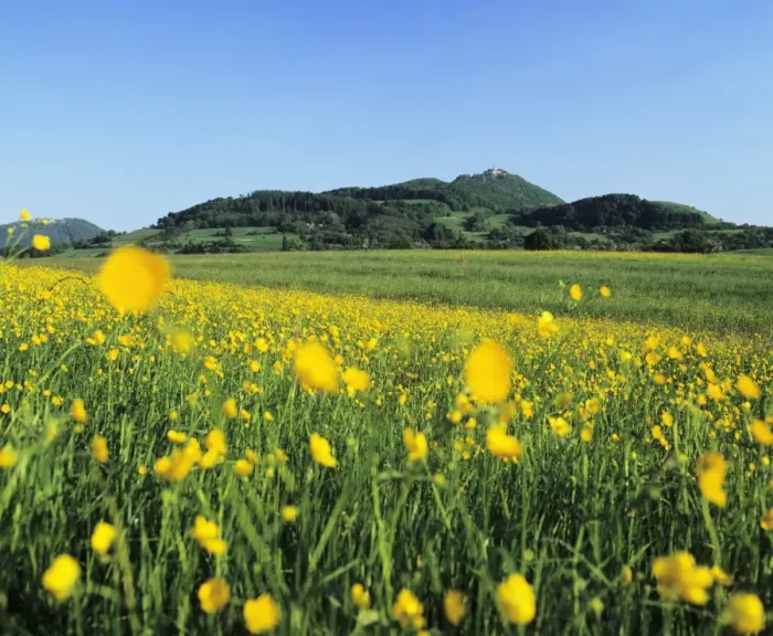 Framed Print : View from a flower meadow to Teckberg Mountain with Teck Castle, Kirchheim, Swabian Alb, Baden Wurttemberg, Germany, Europe Framed Print : View from a flower meadow to Teckberg Mountain with Teck Castle, Kirchheim, Swabian Alb, Baden Wurttemberg, Germany, Europe