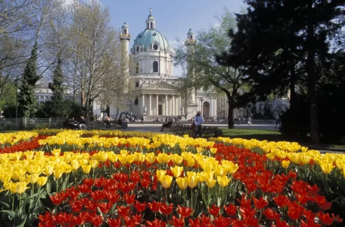 Framed Print : View over flowerbeds of red and yellow tulips to the Karlskirche (church) Framed Print : View over flowerbeds of red and yellow tulips to the Karlskirche (church)