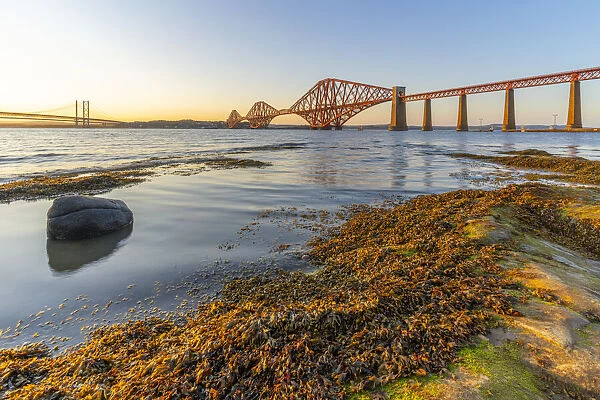 View of the Forth Road Bridge, Queensferry Crossing and Forth Rail Bridge