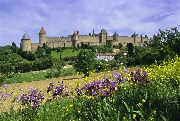 View of the fortified city, Carcassonne, UNESCO World Heritage Site, Languedoc