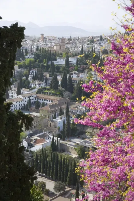 Framed Print : View from gardens of the Generalife to the Albaicin district, Granada, Andalucia Framed Print : View from gardens of the Generalife to the Albaicin district, Granada, Andalucia