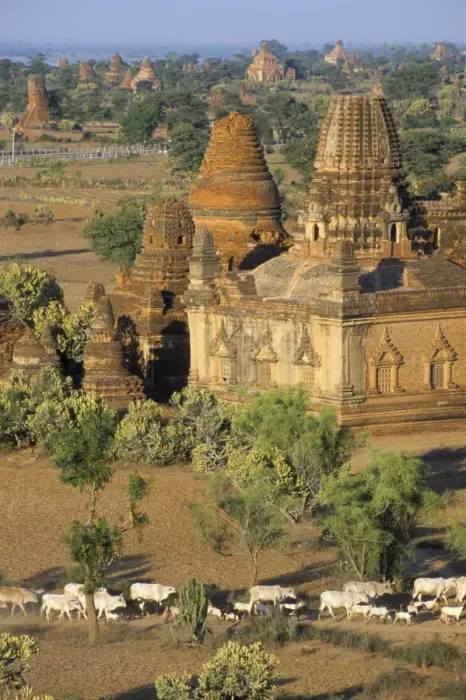 Framed Print : View from the Gayokpyemin Pagoda, Bagan (Pagan), Myanmar (Burma), Asia Framed Print : View from the Gayokpyemin Pagoda, Bagan (Pagan), Myanmar (Burma), Asia