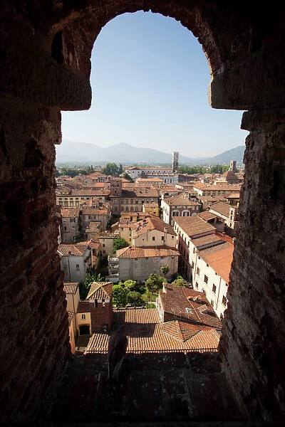 View from the Giunigi Tower, Lucca, Tuscany, Italy, Europe