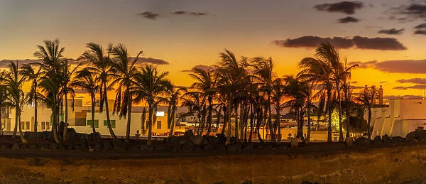 View of golden sunset through palm trees, Playa Blanca, Lanzarote, Canary Islands, Spain